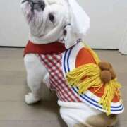 ヒメ日記 2025/10/11 11:00 投稿 田口 MadameRest(マダムレスト)