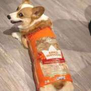 ヒメ日記 2025/10/14 11:52 投稿 田口 MadameRest(マダムレスト)