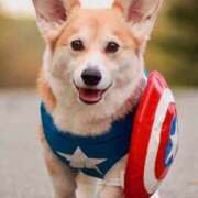 ヒメ日記 2025/10/26 17:50 投稿 田口 MadameRest(マダムレスト)