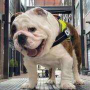 ヒメ日記 2025/10/28 13:04 投稿 田口 MadameRest(マダムレスト)