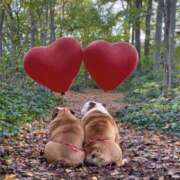 ヒメ日記 2025/11/01 07:56 投稿 田口 MadameRest(マダムレスト)