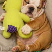 ヒメ日記 2025/11/08 09:41 投稿 田口 MadameRest(マダムレスト)