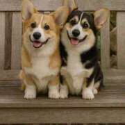 ヒメ日記 2025/11/11 15:34 投稿 田口 MadameRest(マダムレスト)