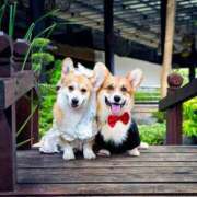 ヒメ日記 2025/11/23 12:12 投稿 田口 MadameRest(マダムレスト)