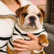 ヒメ日記 2025/11/24 14:36 投稿 田口 MadameRest(マダムレスト)