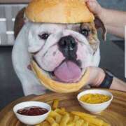 ヒメ日記 2025/11/25 11:52 投稿 田口 MadameRest(マダムレスト)