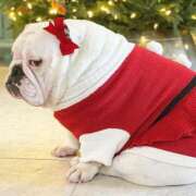 田口 🎀本日は。。🎀 MadameRest(マダムレスト)