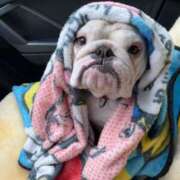 田口 今晩は〜✨ MadameRest(マダムレスト)