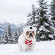 田口 🎀明けましておめでとうございます🎀 MadameRest(マダムレスト)