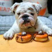 田口 本日は。。 MadameRest(マダムレスト)