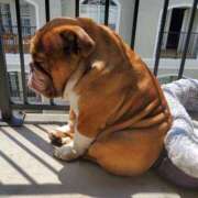 ヒメ日記 2026/01/26 16:13 投稿 田口 MadameRest(マダムレスト)