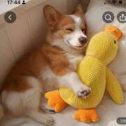 ヒメ日記 2026/02/14 11:17 投稿 田口 MadameRest(マダムレスト)