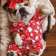 ヒメ日記 2026/02/28 10:52 投稿 田口 MadameRest(マダムレスト)