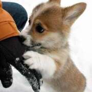 ヒメ日記 2026/03/08 09:27 投稿 田口 MadameRest(マダムレスト)