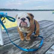 ヒメ日記 2026/03/21 10:02 投稿 田口 MadameRest(マダムレスト)