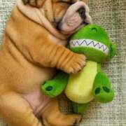 ヒメ日記 2026/03/28 09:54 投稿 田口 MadameRest(マダムレスト)