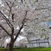 ヒメ日記 2026/03/30 13:18 投稿 田口 MadameRest(マダムレスト)