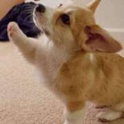 ヒメ日記 2026/04/04 11:00 投稿 田口 MadameRest(マダムレスト)