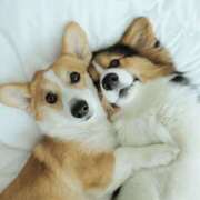 田口 本日の出勤は MadameRest(マダムレスト)