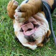 田口 出勤しました✨ MadameRest(マダムレスト)