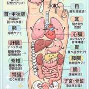 ヒメ日記 2026/05/18 09:55 投稿 田口 MadameRest(マダムレスト)