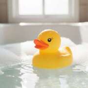 ヒメ日記 2025/11/21 17:39 投稿 今永 ゆあ Mの世界