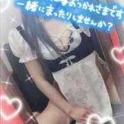 ヒメ日記 2025/04/24 15:02 投稿 めあ ハンドキャンパス新宿