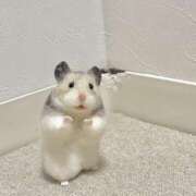 ヒメ日記 2025/06/04 14:49 投稿 めあ ハンドキャンパス新宿