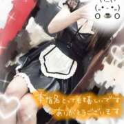 ヒメ日記 2025/08/13 13:17 投稿 めあ ハンドキャンパス新宿