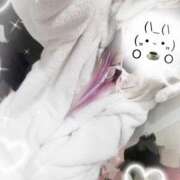 ヒメ日記 2026/02/06 11:46 投稿 めあ ハンドキャンパス新宿