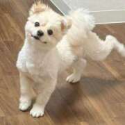 ヒメ日記 2026/03/09 08:47 投稿 めあ ハンドキャンパス新宿