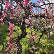 ヒメ日記 2026/04/04 13:37 投稿 めあ ハンドキャンパス新宿