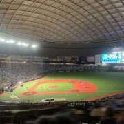 ヒメ日記 2025/06/06 01:31 投稿 じゅり★ レースクィーン