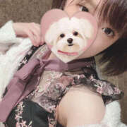 ヒメ日記 2025/02/14 09:03 投稿 ののか ハピネス札幌