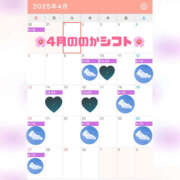 ヒメ日記 2025/03/29 14:59 投稿 ののか ハピネス札幌