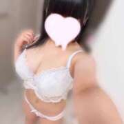 ヒメ日記 2024/12/17 22:01 投稿 うさぎ LEVEL1