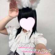 ヒメ日記 2025/01/20 14:02 投稿 うさぎ LEVEL1