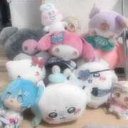 ヒメ日記 2025/03/01 02:01 投稿 うさぎ LEVEL1