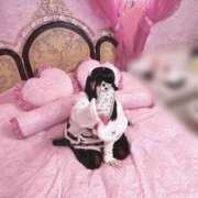 ヒメ日記 2025/03/18 02:01 投稿 うさぎ LEVEL1