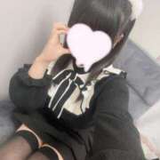 ヒメ日記 2025/05/04 02:11 投稿 うさぎ LEVEL1