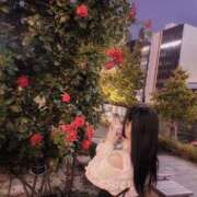 ヒメ日記 2025/05/31 02:22 投稿 うさぎ LEVEL1