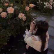 ヒメ日記 2025/06/05 02:11 投稿 うさぎ LEVEL1