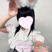 ヒメ日記 2025/07/08 12:02 投稿 うさぎ LEVEL1