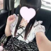 ヒメ日記 2025/07/11 00:21 投稿 うさぎ LEVEL1