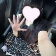 ヒメ日記 2025/08/02 00:21 投稿 うさぎ LEVEL1