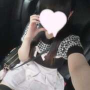 ヒメ日記 2025/08/12 02:11 投稿 うさぎ LEVEL1