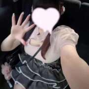 ヒメ日記 2025/09/07 02:07 投稿 うさぎ LEVEL1