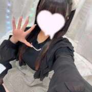 ヒメ日記 2025/11/11 02:51 投稿 うさぎ LEVEL1