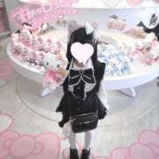 ヒメ日記 2025/11/14 19:02 投稿 うさぎ LEVEL1