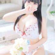 ヒメ日記 2025/12/31 21:02 投稿 うさぎ LEVEL1